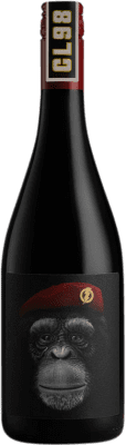 18,95 € Kostenloser Versand | Rotwein Casa Rojo CL98 D.O. Ribera del Duero Kastilien und León Spanien Tempranillo Flasche 75 cl