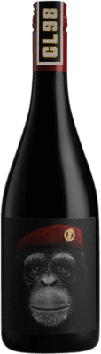 15,95 € Envio grátis | Vinho tinto Casa Rojo CL98 D.O. Ribera del Duero Castela e Leão Espanha Tempranillo Garrafa 75 cl