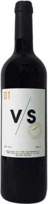 17,95 € Envío gratis | Vino tinto Vinos Subterráneos VS 01 La Rioja España Tempranillo, Graciano, Viura Botella 75 cl