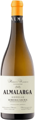 16,95 € Бесплатная доставка | Белое вино Pena das Donas Almalarga D.O. Ribeira Sacra Галисия Испания Godello — Годельо 75 cl