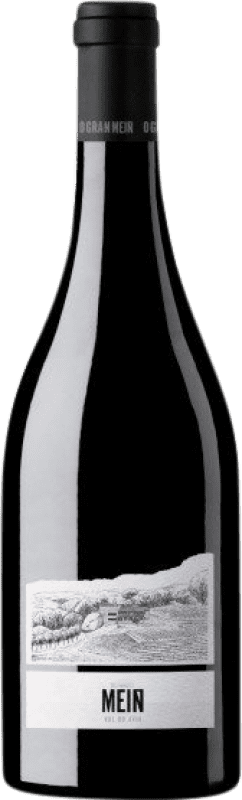 54,95 € Envío gratis | Vino Tinto Viña Meín O Gran Meín D.O. Ribeiro Galicia España Brancellao, Caíño 75 cl