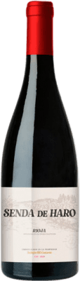 10,95 € 免费送货 | 红酒 Honorio Rubio Senda de Haro D.O.Ca. Rioja 拉里奥哈 西班牙 Tempranillo, Grenache Tintorera 瓶子 75 cl