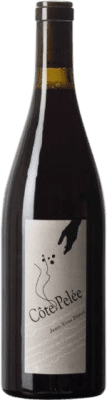 116,95 € Spedizione Gratuita | Vino Rosso Jean-Yves Péron Côte Pelée Savoia Francia Mondeuse Eco — Biologico 75 cl