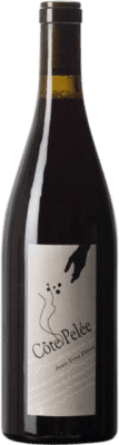 111,95 € Envío gratis | Vino tinto Jean-Yves Péron Côte Pelée Savoia Francia Mondeuse Botella 75 cl