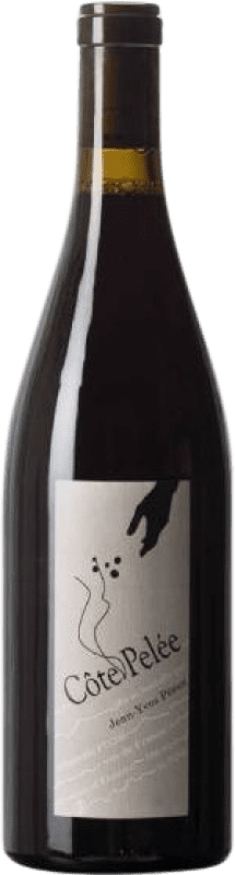 111,95 € 免费送货 | 红酒 Jean-Yves Péron Côte Pelée Savoia 法国 Mondeuse 瓶子 75 cl