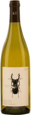 62,95 € Envío gratis | Vino Blanco Andreas Tscheppe Stag Beetle Maceración Estiria Austria Chardonnay, Sauvignon Eco — Ecológico 75 cl