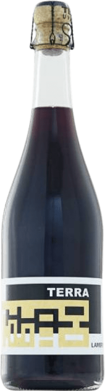 9,95 € Kostenloser Versand | Weißer Sekt Terre Base Terra Lambrusco dell 'Emilia Emilia-Romagna Italien Lambrusco Salamino Flasche 75 cl