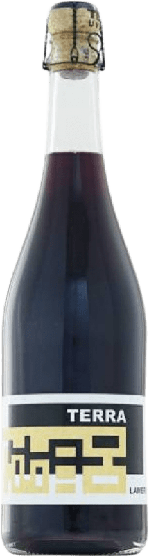 9,95 € Free Shipping | White sparkling Terre Base Terra Lambrusco dell 'Emilia Emilia-Romagna Italy Lambrusco Salamino Bottle 75 cl