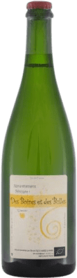 19,95 € Бесплатная доставка | Белое игристое Mirebeau Bruno Rochard des Boires et des Bulles Луара Франция Chenin White бутылка 75 cl