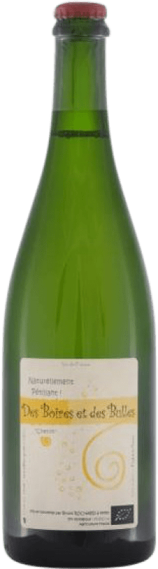 19,95 € 免费送货 | 白起泡酒 Domaine de Mirebeau Bruno Rochard des Boires et des Bulles 卢瓦尔河 法国 Chenin White 瓶子 75 cl