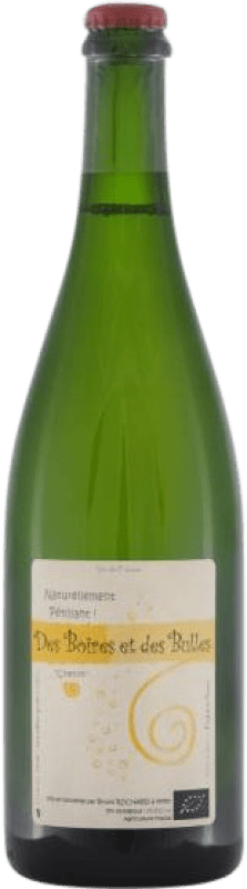 19,95 € Kostenloser Versand | Weißer Sekt Domaine de Mirebeau Bruno Rochard des Boires et des Bulles Loire Frankreich Chenin Weiß Flasche 75 cl