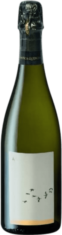 19,95 € Бесплатная доставка | Белое игристое L'Antica Quercia Superiore Ariò Природа Брута D.O.C.G. Prosecco di Conegliano-Valdobbiadene Венето Италия Glera бутылка 75 cl