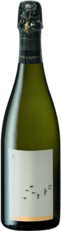 19,95 € Free Shipping | White sparkling L'Antica Quercia Superiore Ariò Brut Nature D.O.C.G. Prosecco di Conegliano-Valdobbiadene Veneto Italy Glera Bottle 75 cl