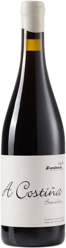 43,95 € Spedizione Gratuita | Vino rosso Alan de Val A Costiña D.O. Valdeorras Galizia Spagna Brancellao Bottiglia 75 cl