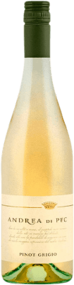 9,95 € Free Shipping | White wine Eugenio Collavini Andrea I.G.T. Friuli-Venezia Giulia Friuli-Venezia Giulia Italy Pinot Grey Bottle 75 cl