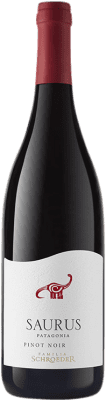 23,95 € Envio grátis | Vinho tinto Schroeder Saurus I.G. Patagonia Patagonia Argentina Pinot Preto Garrafa 75 cl