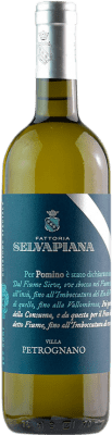 28,95 € Бесплатная доставка | Белое вино Selvapiana Villa Petrognano Bianco D.O.C. Pomino Тоскана Италия Chardonnay, Sauvignon White бутылка 75 cl