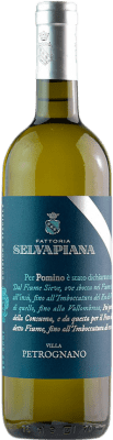 23,95 € Бесплатная доставка | Белое вино Selvapiana Villa Petrognano D.O.C. Pomino Тоскана Италия Chardonnay — Шардоне, Sauvignon — Совиньон 75 cl