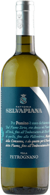 Selvapiana Villa Petrognano Bianco 75 cl