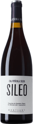10,95 € Envoi gratuit | Vin Rouge Vitícola Sileo D.O. Montsant Catalogne Espagne Garnacha — Grenache 75 cl