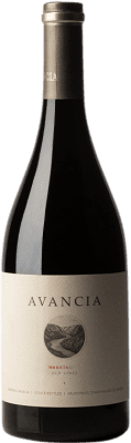 43,95 € Envío gratis | Vino tinto Avanthia Nobleza Mencía D.O. Valdeorras Galicia España Mencía, Garnacha Tintorera, Mouratón, Cariñena, Sousón Botella 75 cl