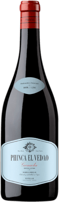 29,95 € Envoi gratuit | Vin rouge Bhilar Phinca El Vedao D.O.Ca. Rioja La Rioja Espagne Grenache Bouteille 75 cl