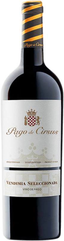 13,95 € Envoi gratuit | Vin rouge Pago de Cirsus Finca Bolandín Vendimia Seleccionada Navarre Espagne Tempranillo, Merlot, Syrah Bouteille 75 cl