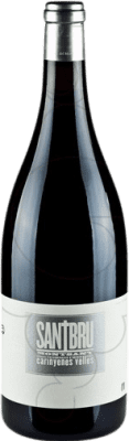 41,95 € Free Shipping | Red wine Portal del Montsant Santbru D.O. Montsant Catalonia Spain Syrah, Grenache, Mazuelo, Carignan Magnum Bottle 1,5 L