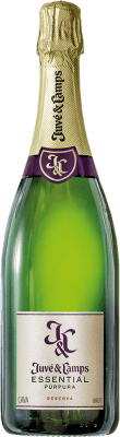 Juvé y Camps Cinta Púrpura Brut Reserva 75 cl