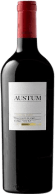 19,95 € Kostenloser Versand | Rotwein Tionio Austum D.O. Ribera del Duero Kastilien und León Spanien Tempranillo Magnum-Flasche 1,5 L