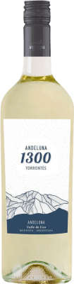 18,95 € Free Shipping | White Wine Andeluna 1300 Young Argentina Torrontés 75 cl