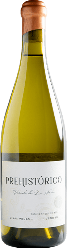 66,95 € Envio grátis | Vinho Branco Naia Prehistórico I.G.P. Vino de la Tierra de Castilla y León Castela e Leão Espanha Verdejo 75 cl