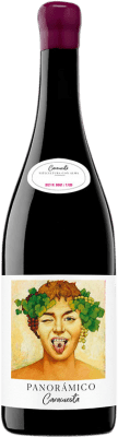 39,95 € Free Shipping | Red wine Vinos del Panorámico Majuelos del Panorámico Caracuesta D.O.Ca. Rioja The Rioja Spain Grenache Bottle 75 cl