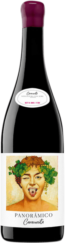 39,95 € Kostenloser Versand | Rotwein Vinos del Panorámico Majuelos del Panorámico Caracuesta D.O.Ca. Rioja La Rioja Spanien Grenache Flasche 75 cl