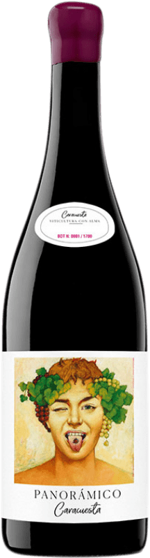 39,95 € 送料無料 | 赤ワイン Vinos del Panorámico Majuelos del Panorámico Caracuesta D.O.Ca. Rioja ラ・リオハ スペイン Grenache ボトル 75 cl