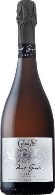 10,95 € 免费送货 | 白起泡酒 Hill Panot Gaudí Cuvée 香槟 预订 D.O. Cava 加泰罗尼亚 西班牙 Macabeo, Xarel·lo, Chardonnay, Parellada 瓶子 75 cl