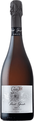 10,95 € Envio grátis | Espumante branco Hill Panot Gaudí Cuvée Brut Reserva D.O. Cava Catalunha Espanha Macabeo, Xarel·lo, Chardonnay, Parellada Garrafa 75 cl