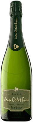 12,95 € 免费送货 | 白起泡酒 Joan Colet Rius Joan colet Rius 香槟 预订 D.O. Cava 加泰罗尼亚 西班牙 Macabeo, Chardonnay, Parellada 瓶子 75 cl
