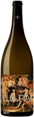14,95 € Envío gratis | Vino blanco Pablo Vidal Luxuria Crianza D.O. Monterrei Galicia España Godello, Loureiro Botella 75 cl