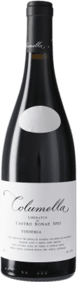 161,95 € Envío gratis | Vino Tinto The Sadie Family Columella Sudáfrica Syrah, Monastrell 75 cl