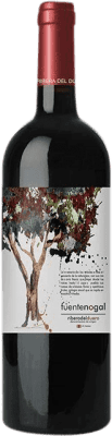 5,95 € Бесплатная доставка | Красное вино Solterra Fuente Nogal молодое D.O. Ribera del Duero Испания Tempranillo — Темпранильо 75 cl