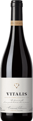9,95 € Free Shipping | Red wine Vitalis Selección Aged D.O. Tierra de León Spain Prieto Picudo Bottle 75 cl