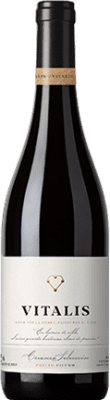 9,95 € Kostenloser Versand | Rotwein Vitalis Selección Alterung D.O. Tierra de León Spanien Prieto Picudo Flasche 75 cl