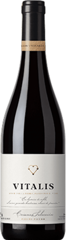 8,95 € Envío gratis | Vino tinto Vitalis Selección Crianza D.O. León España Prieto Picudo Botella 75 cl