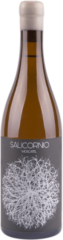15,95 € Envío gratis | Vino blanco Vinessens Salicornio D.O. Alicante Comunidad Valenciana España Moscatel Amarillo Botella 75 cl