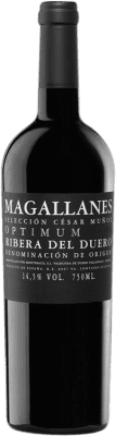 109,95 € Envio grátis | Vinho tinto César Muñoz Magallanes Optimum D.O. Ribera del Duero Castela e Leão Espanha Tempranillo Garrafa 75 cl