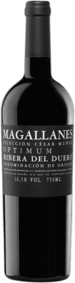 109,95 € Envío gratis | Vino tinto César Muñoz Magallanes Optimum D.O. Ribera del Duero Castilla y León España Tempranillo Botella 75 cl