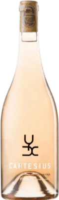 13,95 € Envío gratis | Vino rosado Arché Pagés Cartesius Rosado Joven D.O. Empordà Cataluña España Botella 75 cl