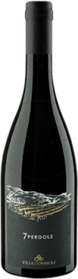 Villa Corniole 7 Pergole Teroldego — Тэрольдего 75 cl