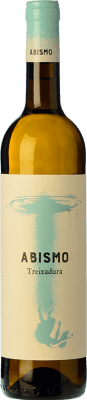 9,95 € Spedizione Gratuita | Vino bianco Terrae Abismo D.O. Ribeiro Galizia Spagna Treixadura Bottiglia 75 cl